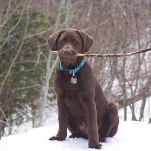 Meet your Posher, Lisa